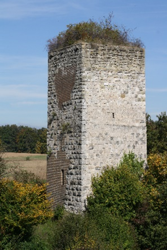 Burgruine Viehhausen